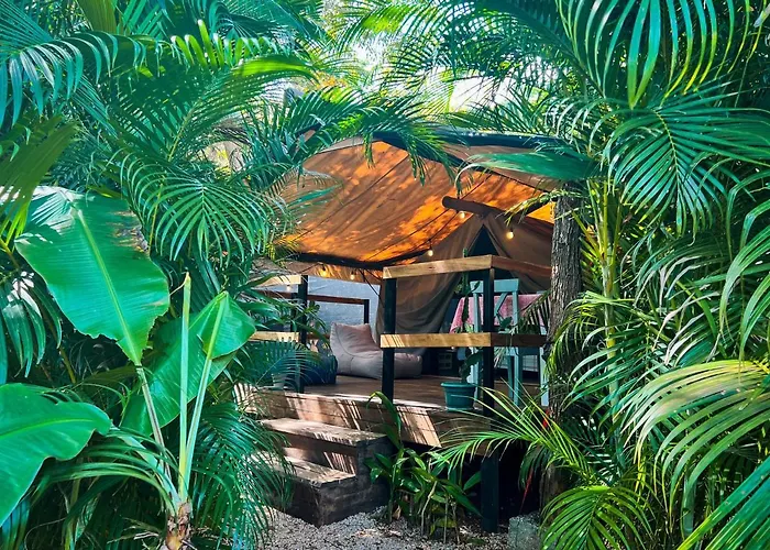 Glamping Hotel Flor y Bambu