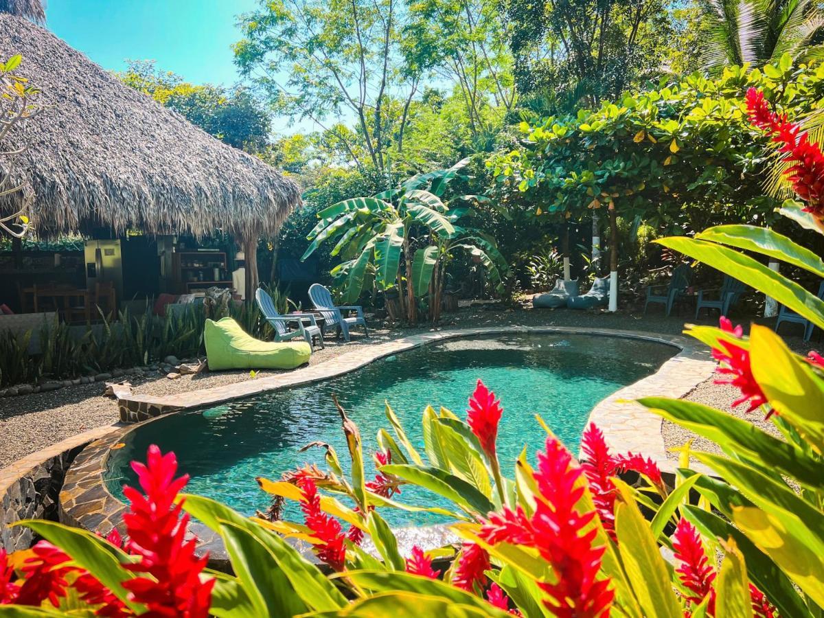Glamping Flor Y Bambu Hotel 3*
