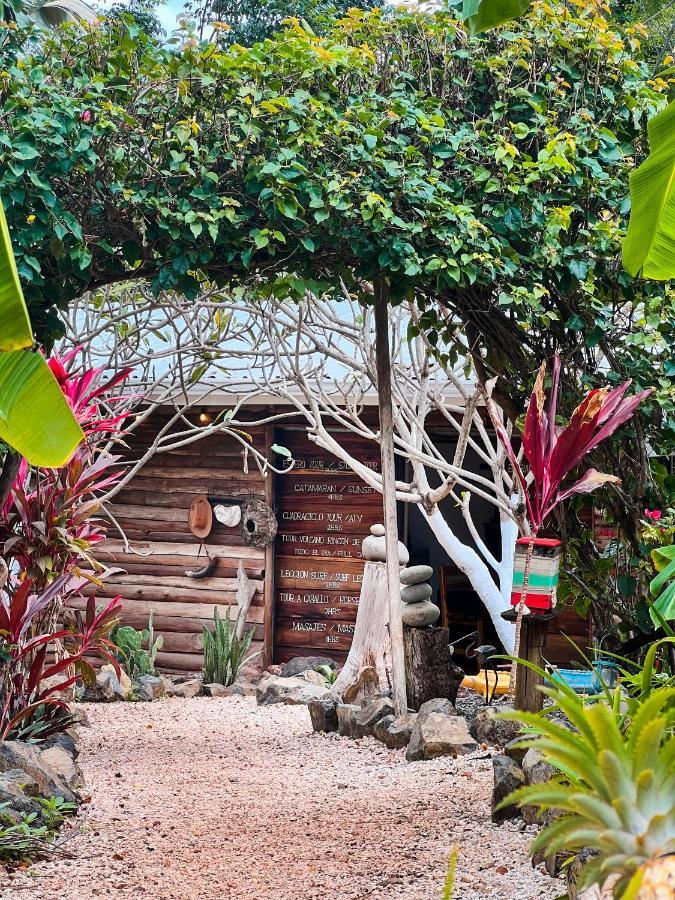 Glamping Flor Y Bambu 3*