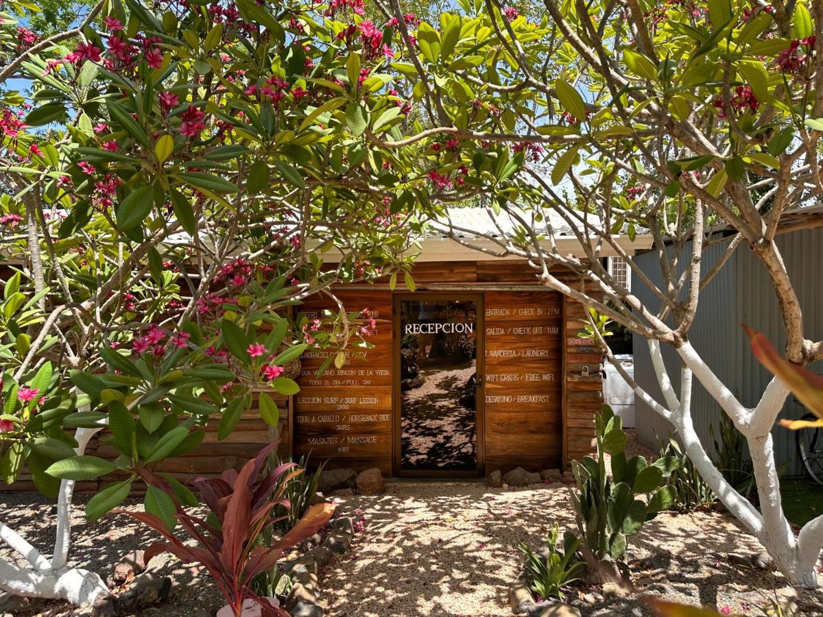 Hotel Glamping Flor Y Bambu 3*