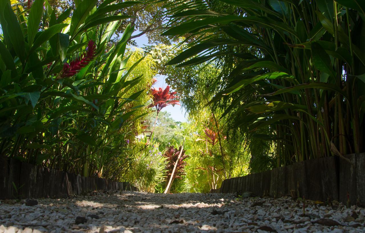 Glamping Flor Y Bambu