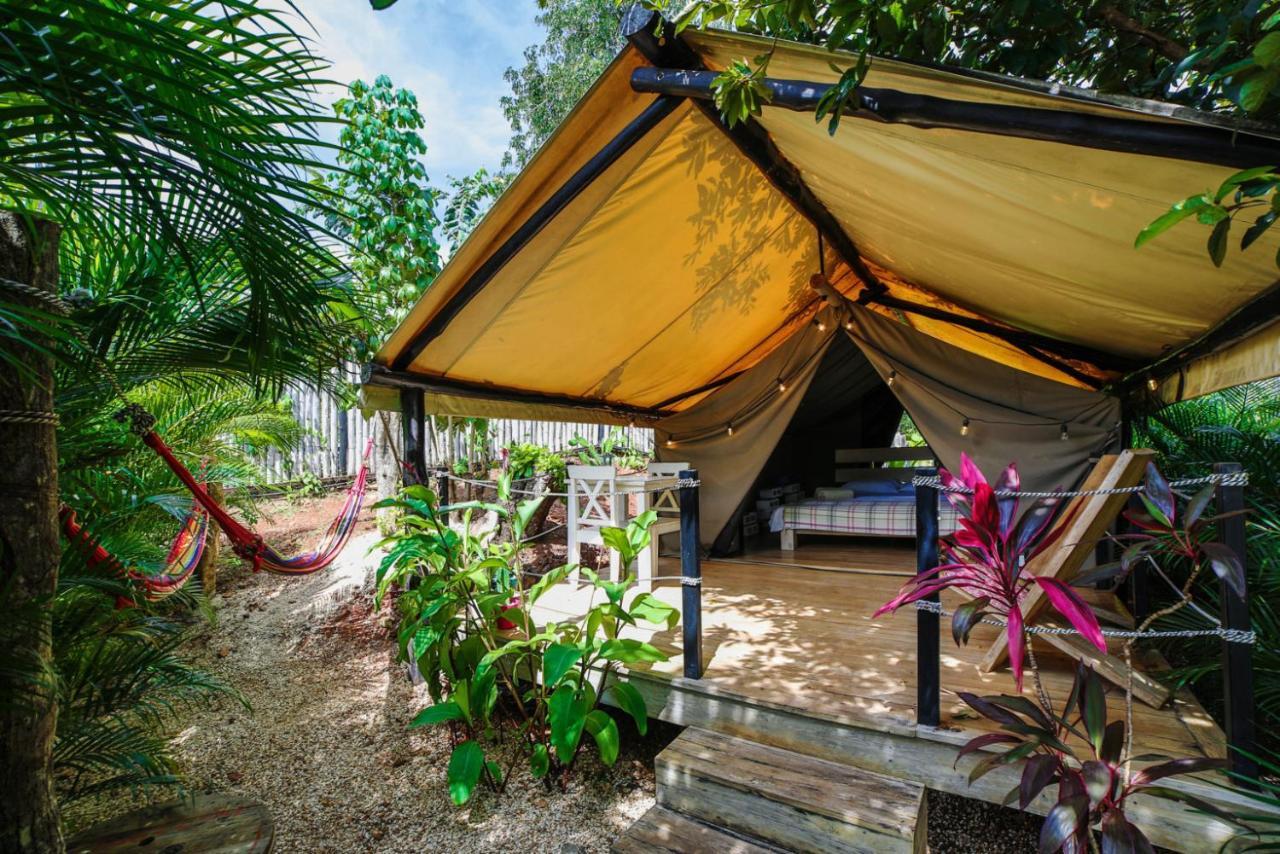 Glamping Flor Y Bambu 3*