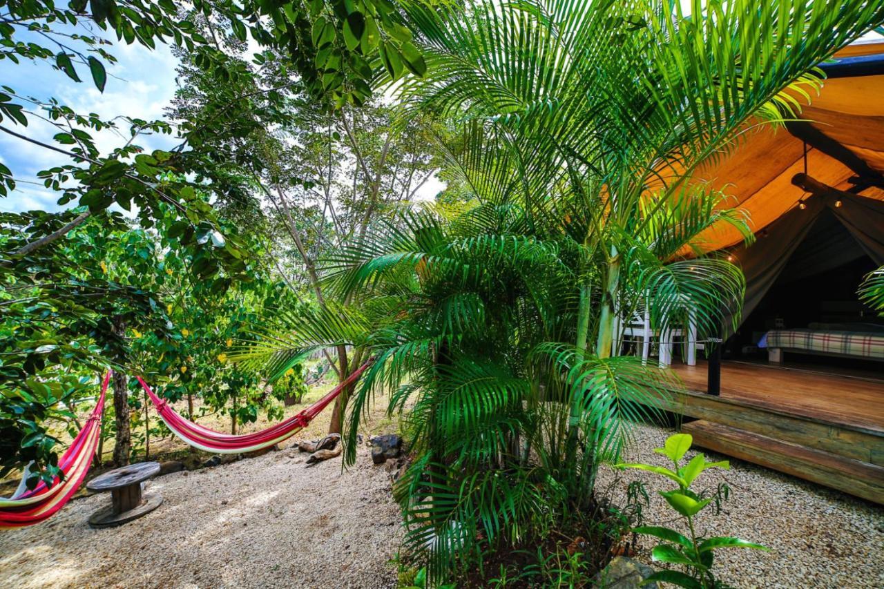 Glamping Flor Y Bambu 3*