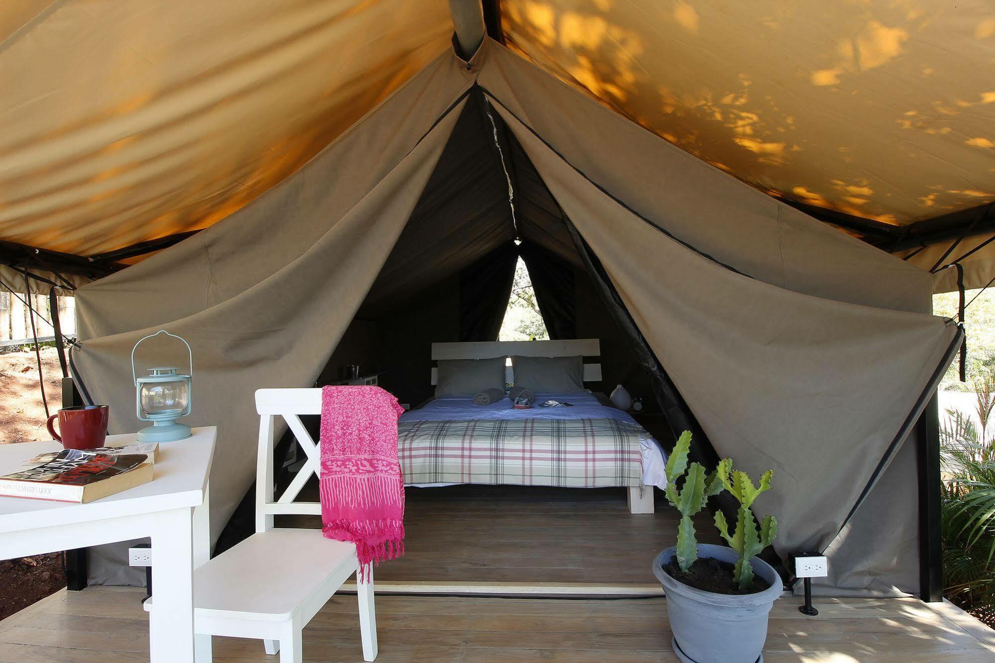 Glamping Flor Y Bambu 3*